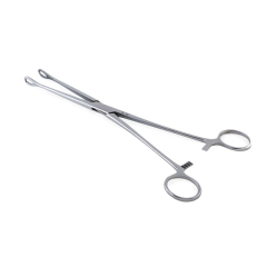 Sponge Forceps (straight)